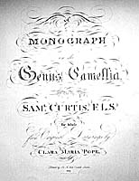 -Curtis0.jpg (12869 Byte)