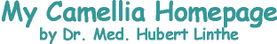 banner.gif (2810 Byte)
