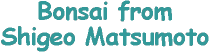 banner.gif (2137 Byte)