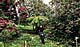-cornw9ho.jpg (7513 Byte)