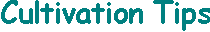 tips.gif (1024 Byte)